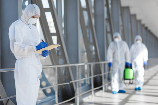 Best Biohazard Mold Removal  in Mesa Del Caballo, AZ