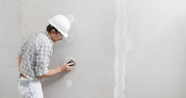 Professional Mold Removal in Mesa Del Caballo, AZ