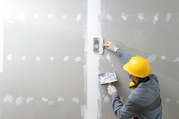 Best Mold Removal for HVAC Installations  in Mesa Del Caballo, AZ