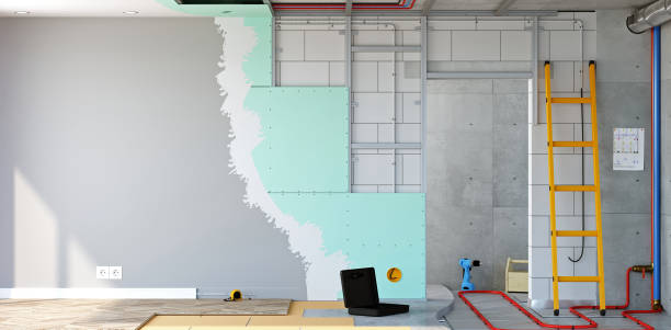 Best Commercial Mold Inspection  in Mesa Del Caballo, AZ
