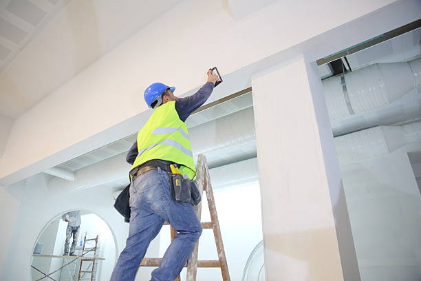 Best Mold Odor Removal Services  in Mesa Del Caballo, AZ