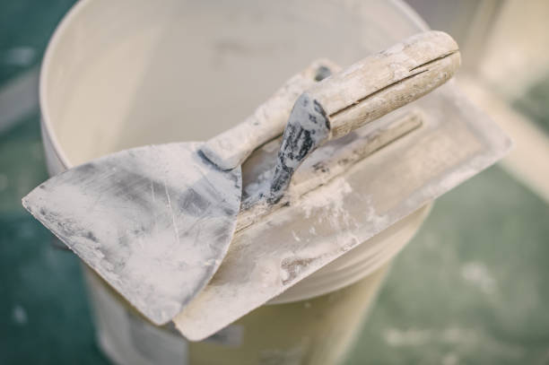 Best Black Mold Removal  in Mesa Del Caballo, AZ